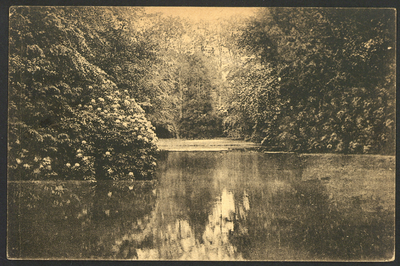 16799 Gezicht op de vijver in het park van het Kasteel Groeneveld (Groeneveld 2) te Baarn.